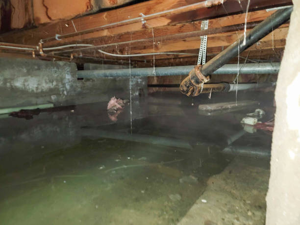  Lenoir, NC Water damage restoration Pros