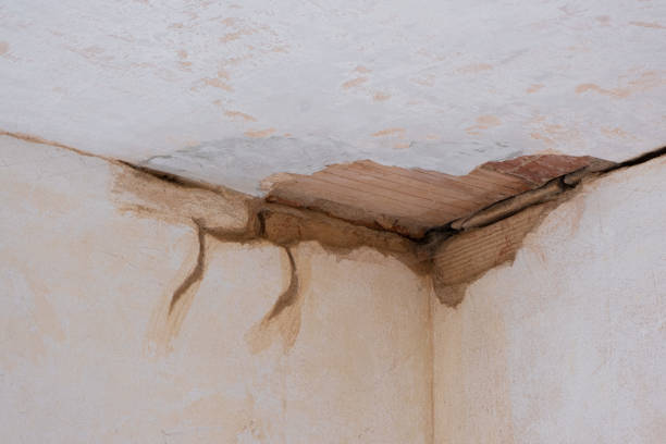 Best Flood damage cleanup  in Lenoir, NC