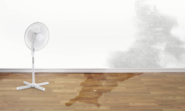 Best Fire Damage Restoration  in Lenoir, NC