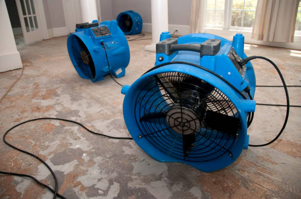 Best 24/7 water damage repair  in Lenoir, NC