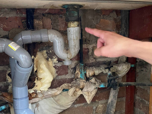 Best Ceiling water damage repair  in Lenoir, NC